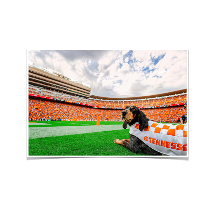 191ba64475d77a7f4678f263407efc2d.png