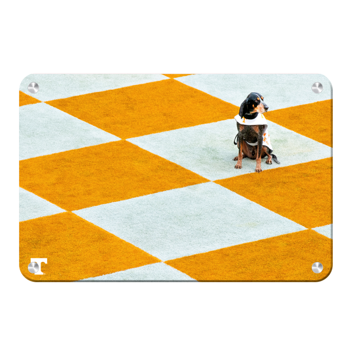 19ccc78726f041be6ad83a92808f6c79.png