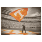 53774fb7ff3a385b7cb043d9526b95d5.png