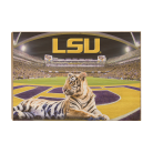 a040976fa667a410d7481d3268d08e0a.png