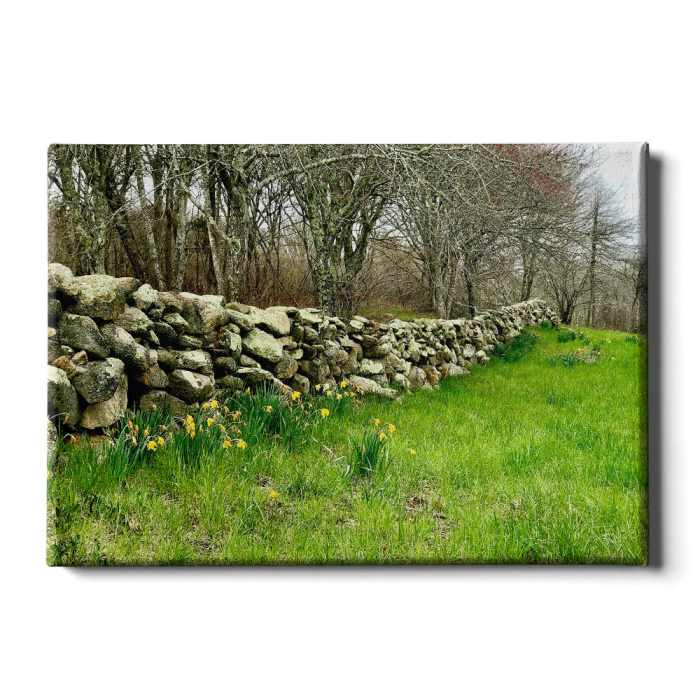 aa293203b6cc903deafe51cb7e87855f.png