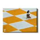 bacc790769c04cda7ae10f1befeb46bb.png