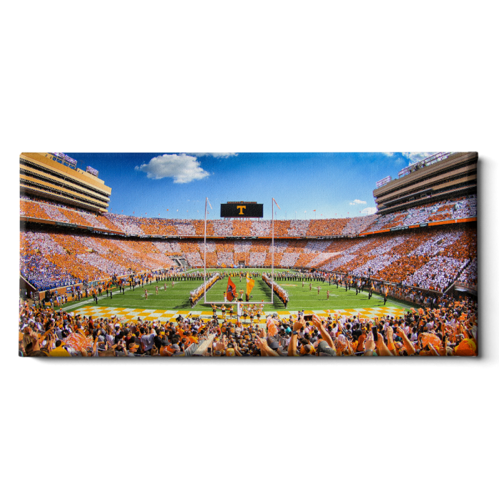 ca755b42330314fa6a00e04b69fd27a9.png