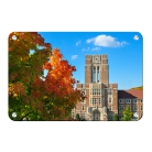 d8219fc37679908958a946eb125785d0.png