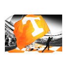 eea8569ffa4ad2e62ef8393e7c866aa3.png