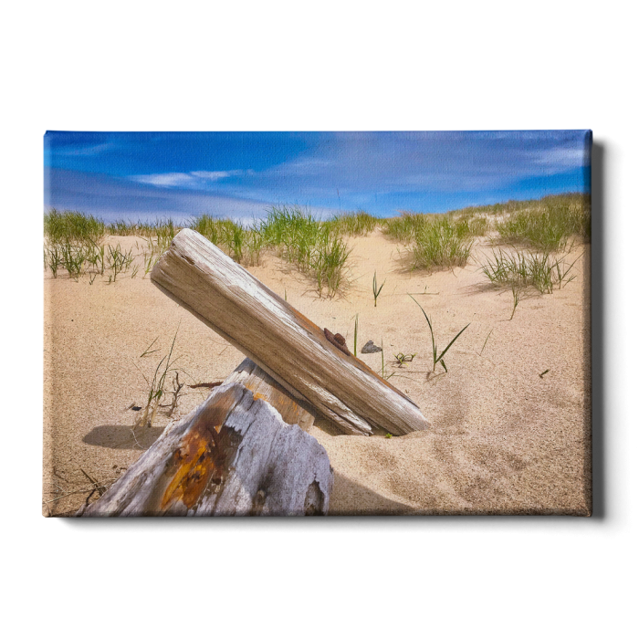 fe471e357f30a01b041f20cdfea572b5.png