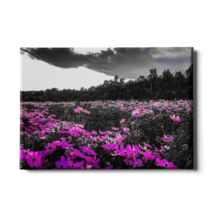0e70334c6e6a09da7f5a5f84c0bb1c18.png