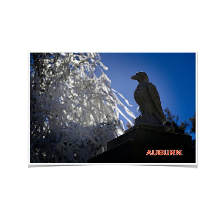 14668cee74e94b5802463c9ad64eded2.jpg
