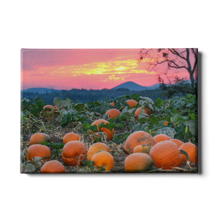 150fbecc0b2744e9eaf7f9d04c130354.png