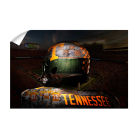 30c7e7bef6cae44a117e38ba0974a677.png