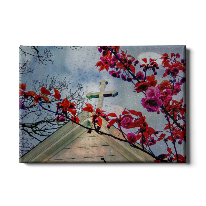 826cba7a708861a8f7a7230b182ea205.png