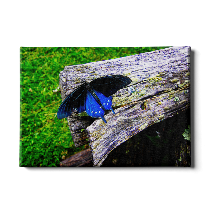 85f40c30e9d4708760a1317373d71cc1.png