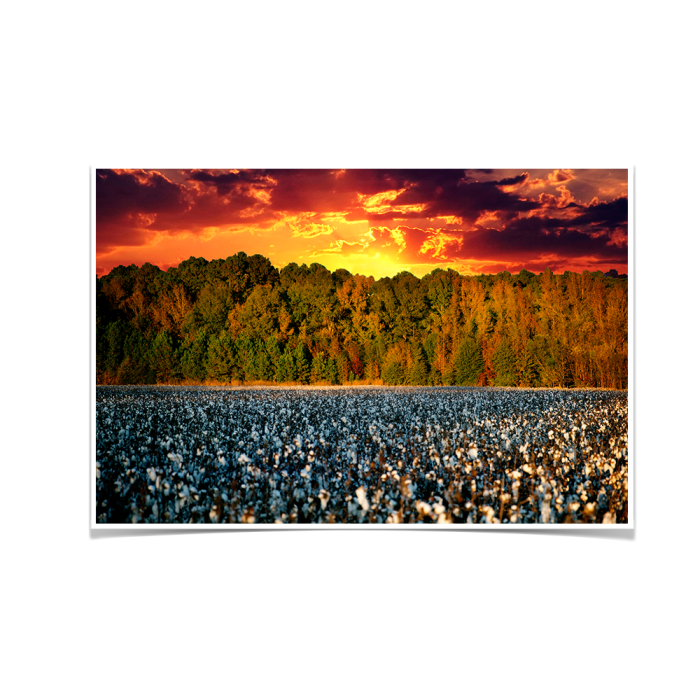 9002809916c559e007ede1a4a6f934f8.png