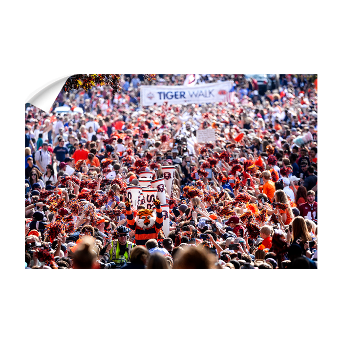 c2a75a403cf2ab30232021d286e7a4cc.png