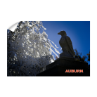 d6ad8e052c96419db66294434d2c2eb2.png