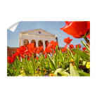 dc992d62d46bec30f5bf08267d2bfd54.png