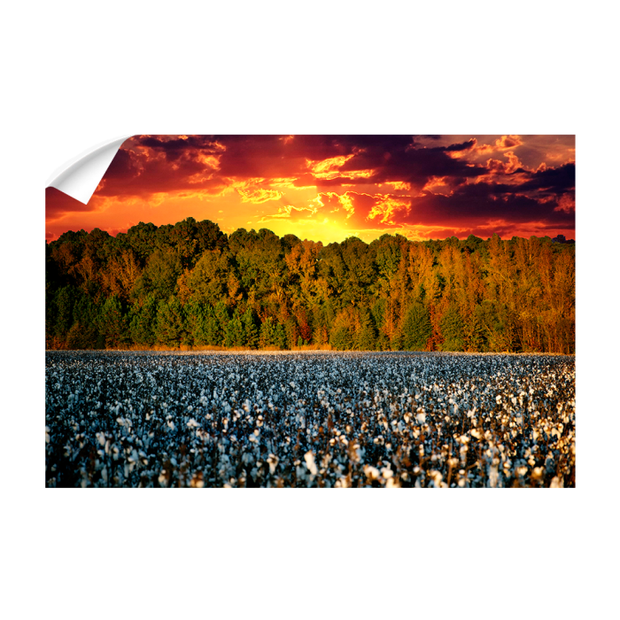 df8f84ce00e53f3f281996cde87ea794.png