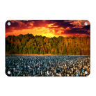 e845912c0418fb013d719ce8d4543907.png