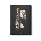 3ee720636b3882d75365dd0a0b639b4b.png