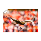509d369a7d2bb34f87b843793032da78.png
