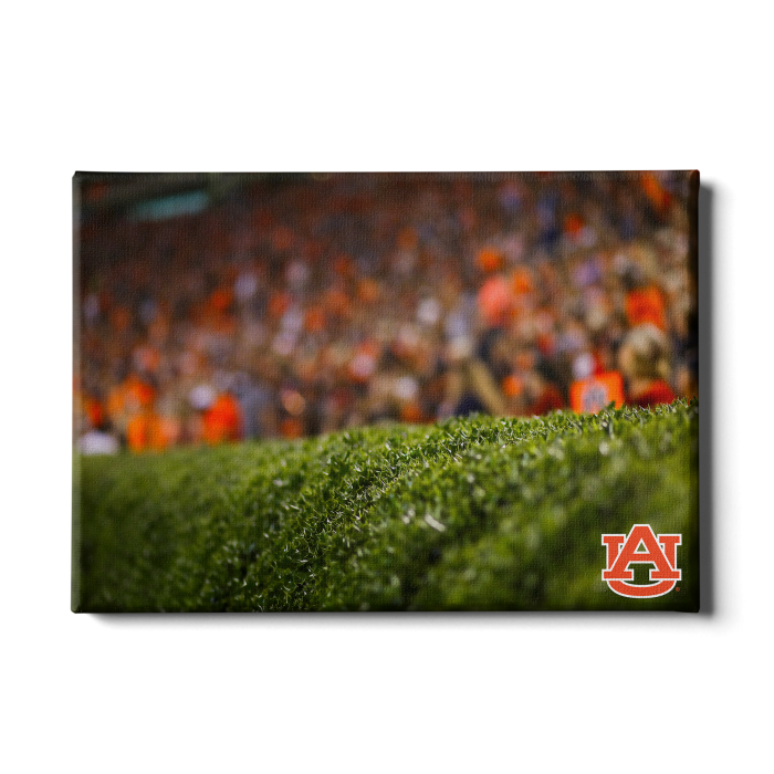 77ff057fd98a14b9e1503167586d2675.png