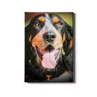 822d418202f5263a4479ec5ef57a3ddb.png