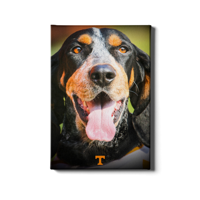 822d418202f5263a4479ec5ef57a3ddb.png