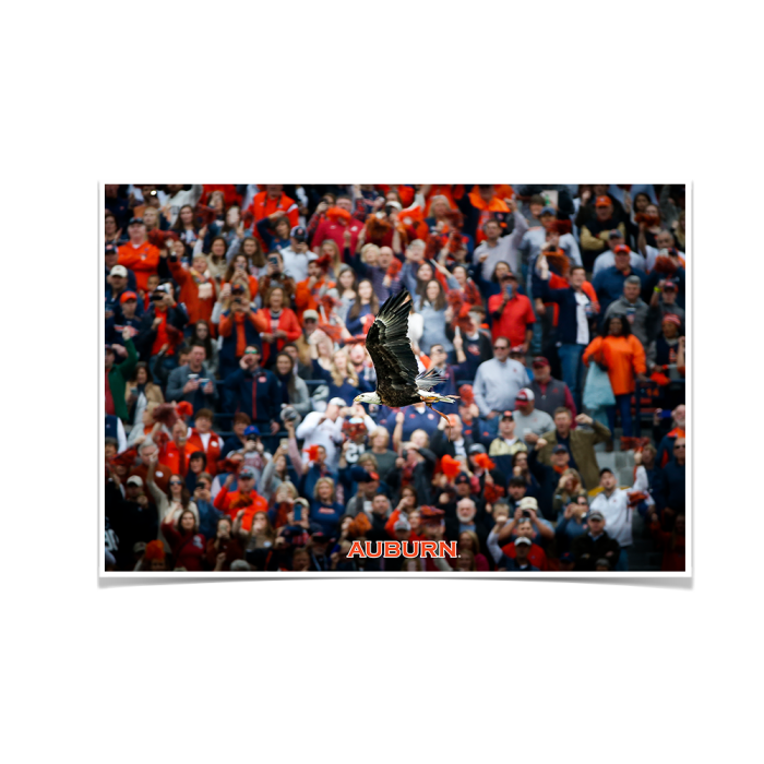 dbeda5f307967cb130fd41e3dd496efb.png