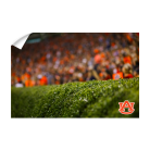 dfc6f5879d16ffd7b5618267cf1fd452.png