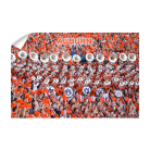 fe9fd531a6b8a02325d0c03b371a50b5.png